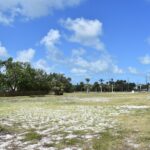 Xx Sands Point Dr